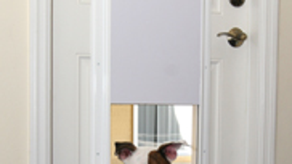 Plexidor is Automatic Star Trek-Like Door for Your Pets (and Only Yours)
